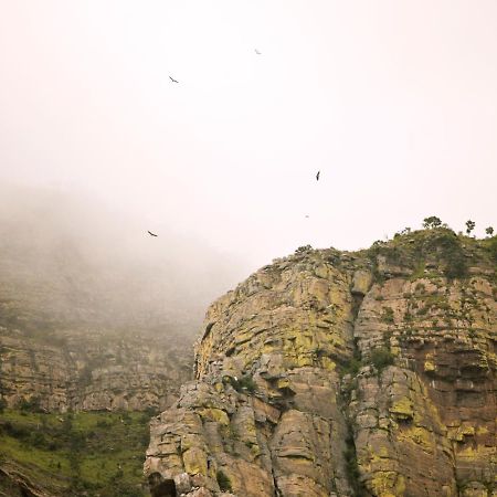 Cape Vulture Conservancy Hoedspruit Eksteriør bilde