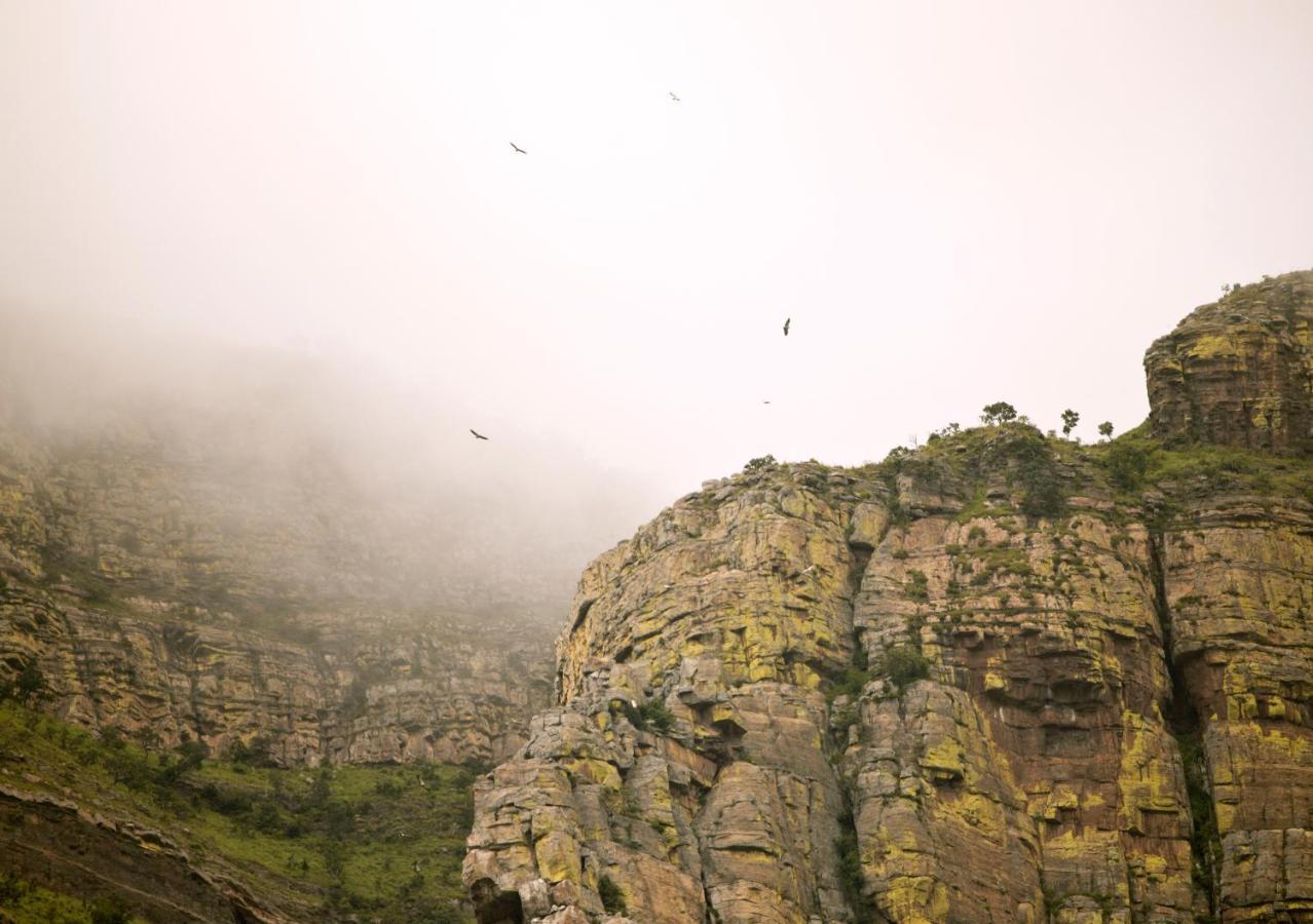 Cape Vulture Conservancy Hoedspruit Eksteriør bilde