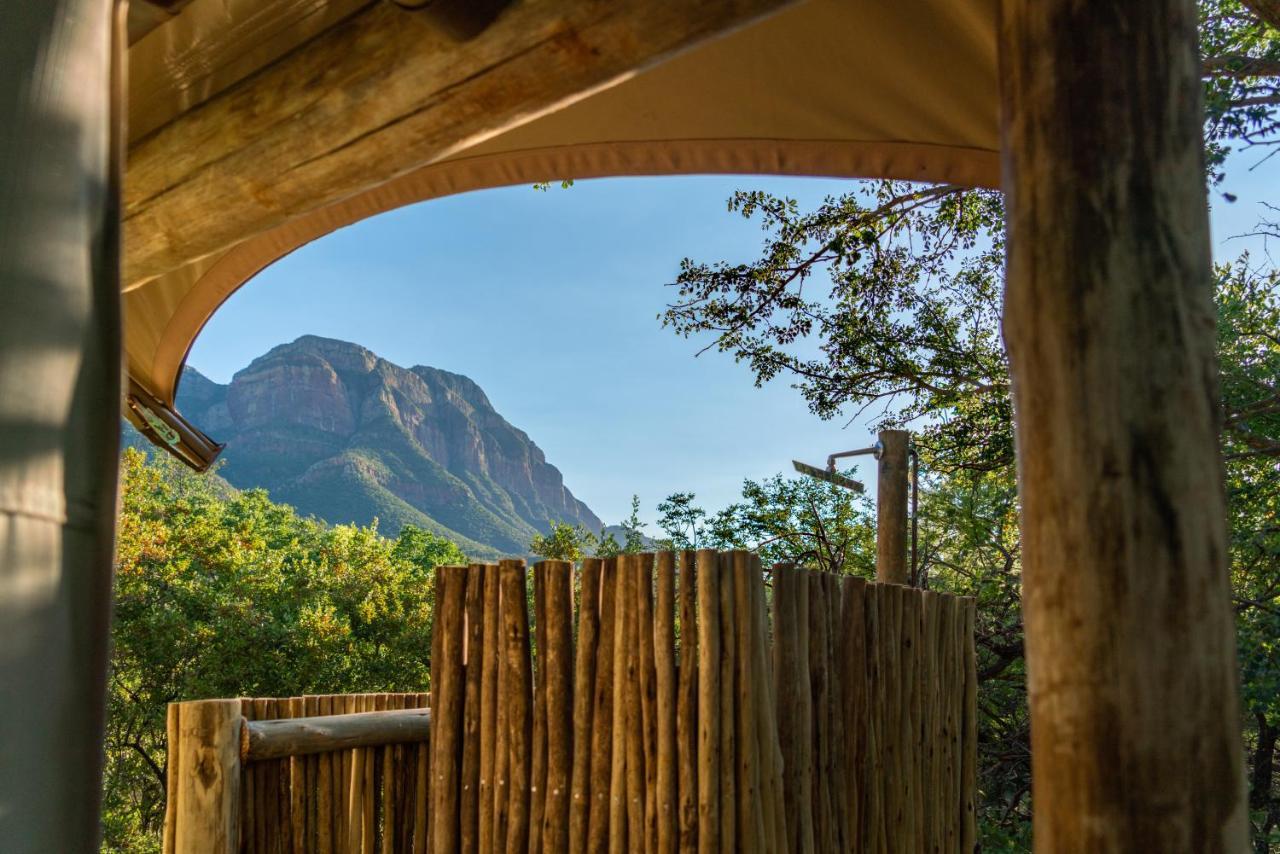 Cape Vulture Conservancy Hoedspruit Eksteriør bilde